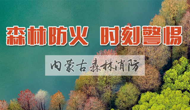 内蒙古森林消防