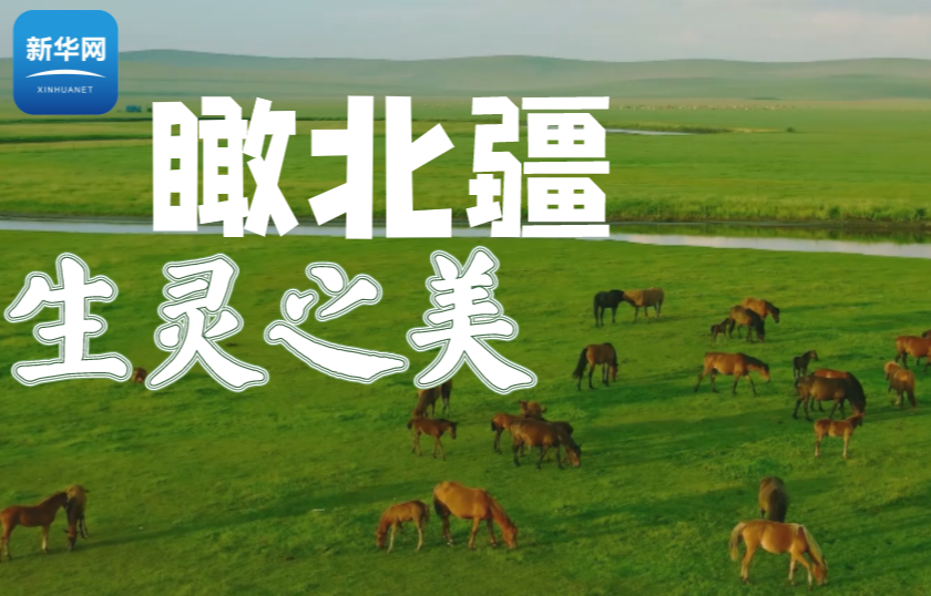 瞰北疆生灵之美