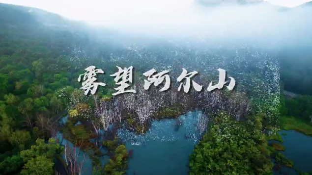 雾望阿尔山