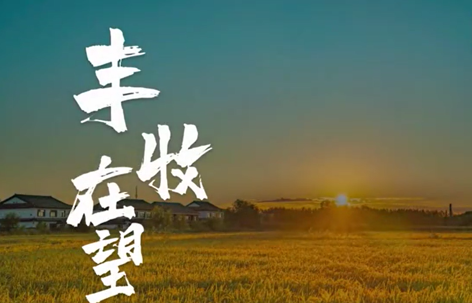 【“飞阅”中国】稻谷飘香 丰收在望