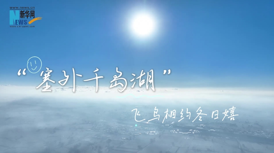 “塞外千岛湖”飞鸟相约冬日嬉