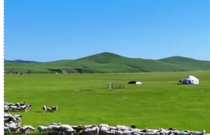 内蒙古赤峰：夏日草原风光美