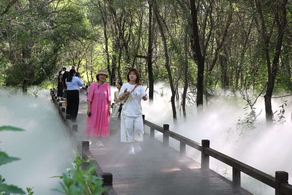 夏日洮儿河国家湿地公园
