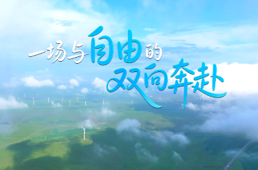 一场与自由的双向奔赴