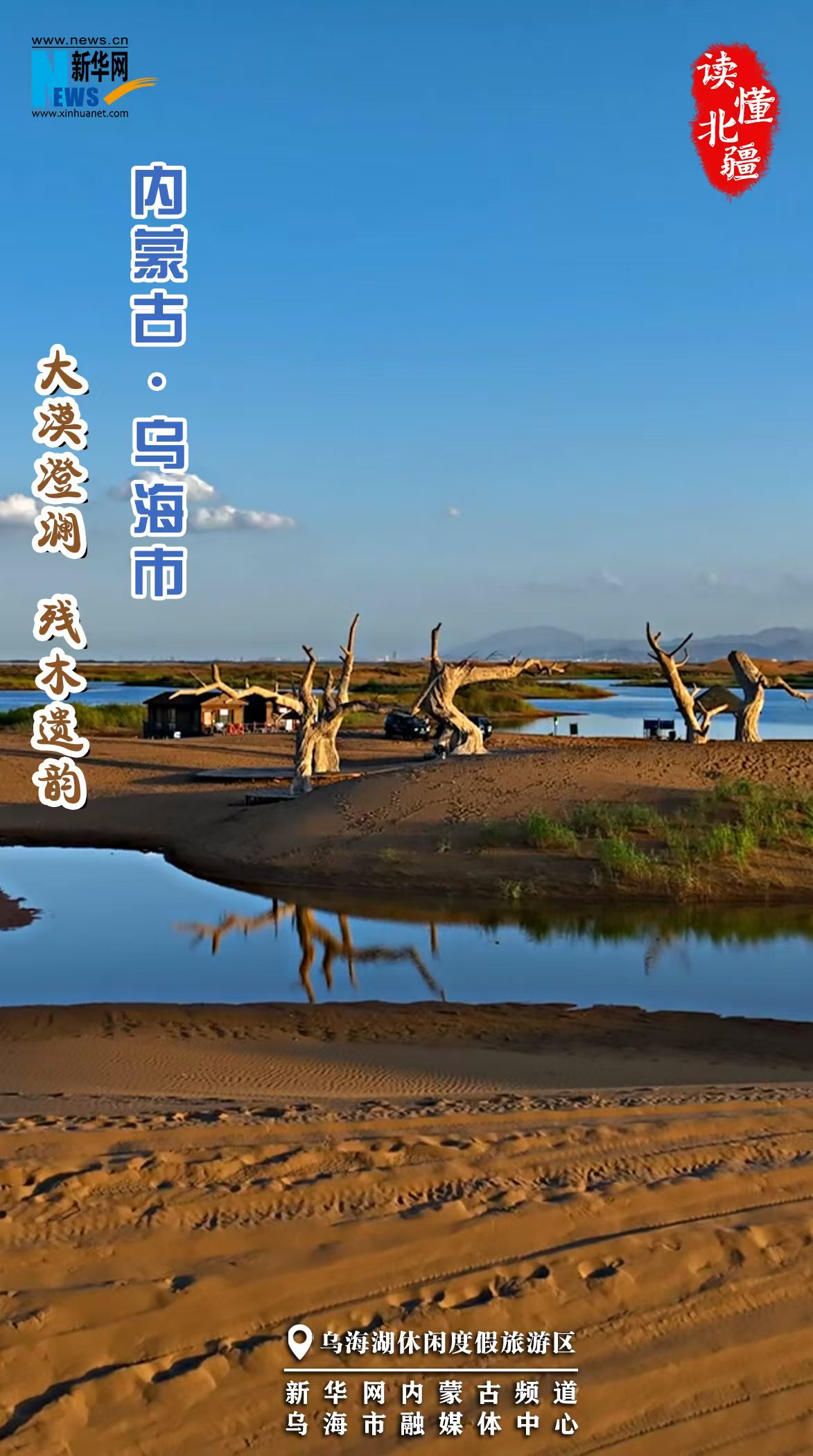 读懂北疆丨大漠澄澜 枯木遗韵 内蒙古乌海市