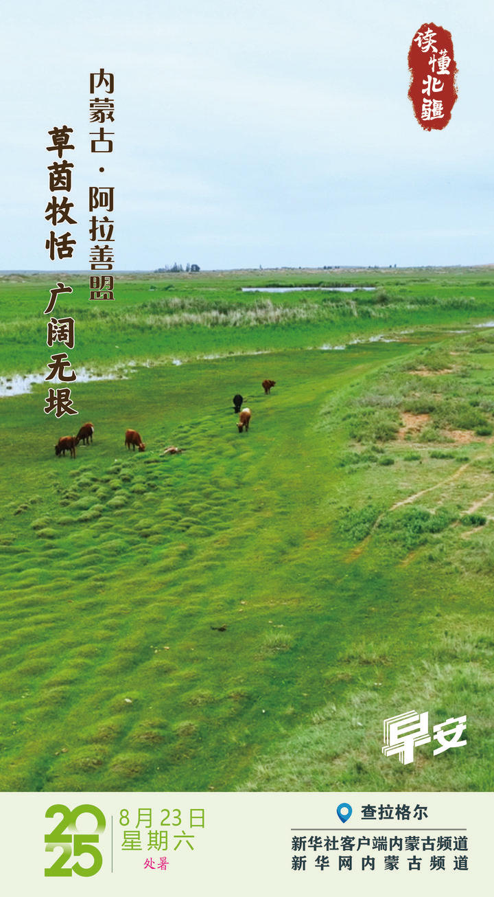 读懂北疆丨草茵牧恬 广阔无垠 内蒙古阿拉善盟