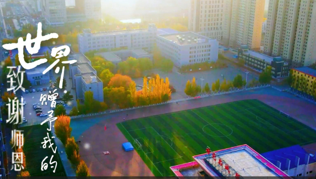 赤峰市宁城县：林下空间转化为“增收沃土”