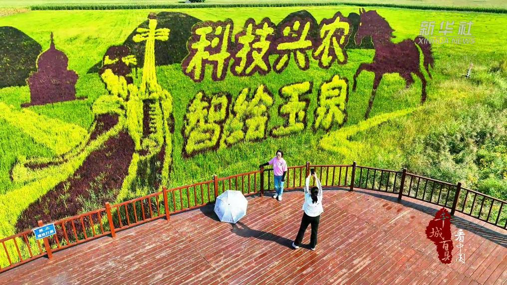 农牧稻田“画”出乡村好风光