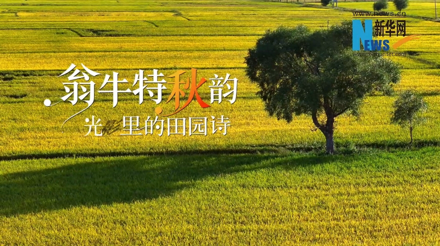 翁牛特秋韵：光影里的田园诗