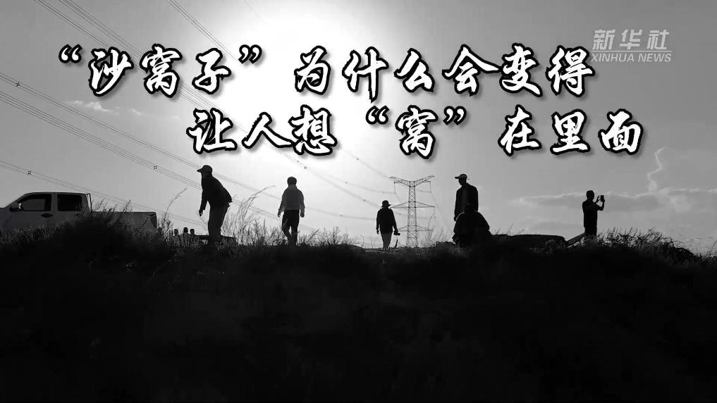 “沙窝子”为什么会让人想“窝”在里面