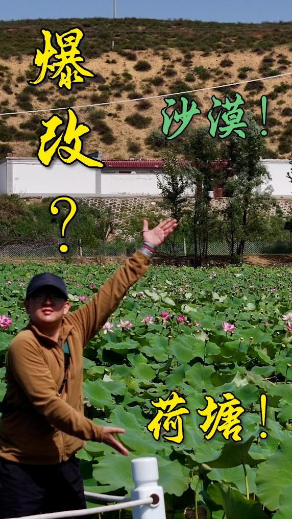 库布其沙漠如今竟变这样！