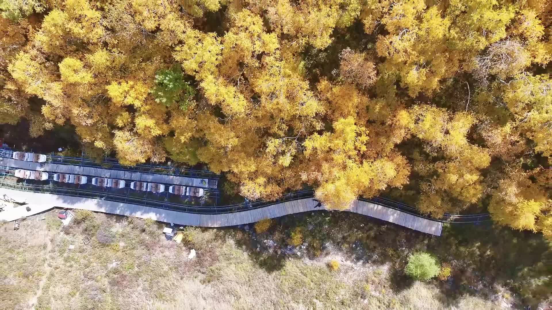 醉美秋色马鞍岭