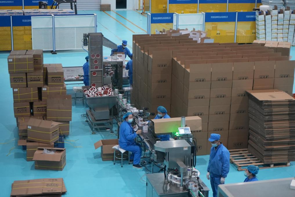 阿拉善：“沙漠之舟”成“致富之舟”