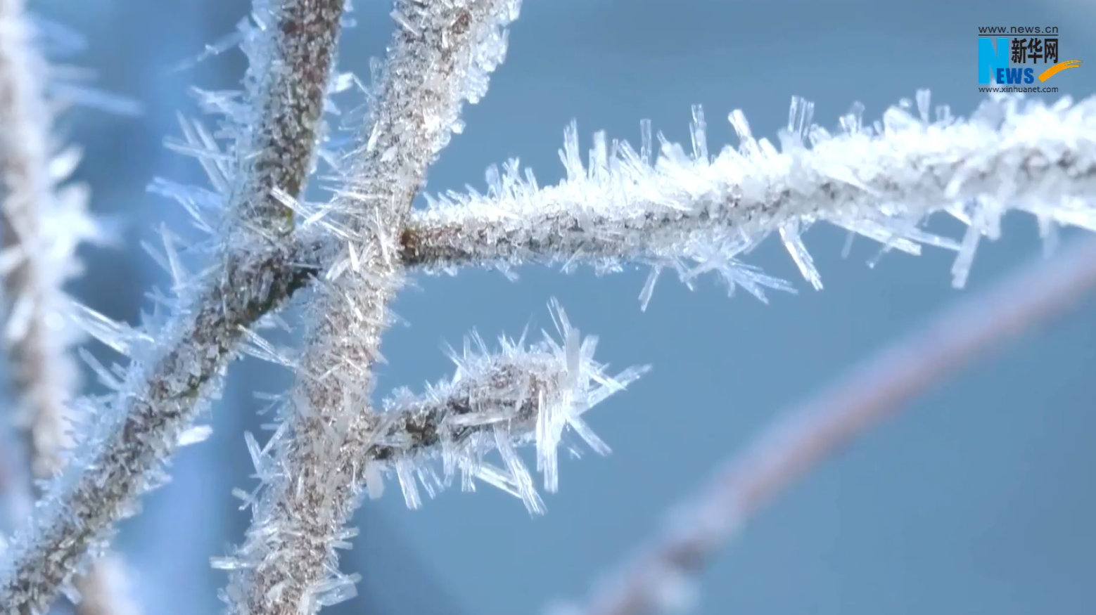 踏雪欢歌 倾听内蒙古的冰雪心跳