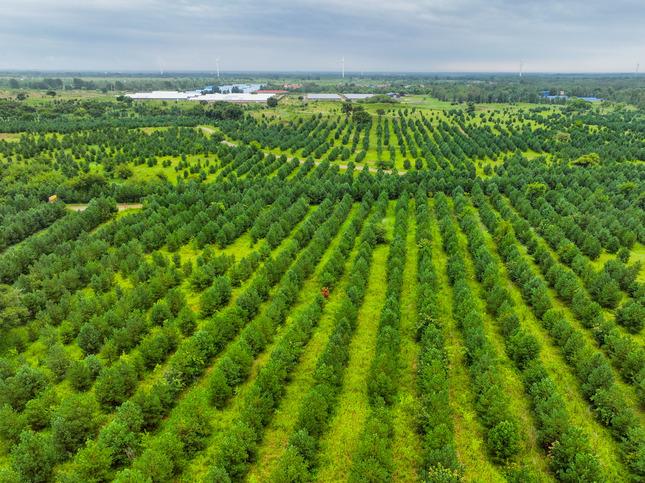 “五个高地”是怎样打造的？