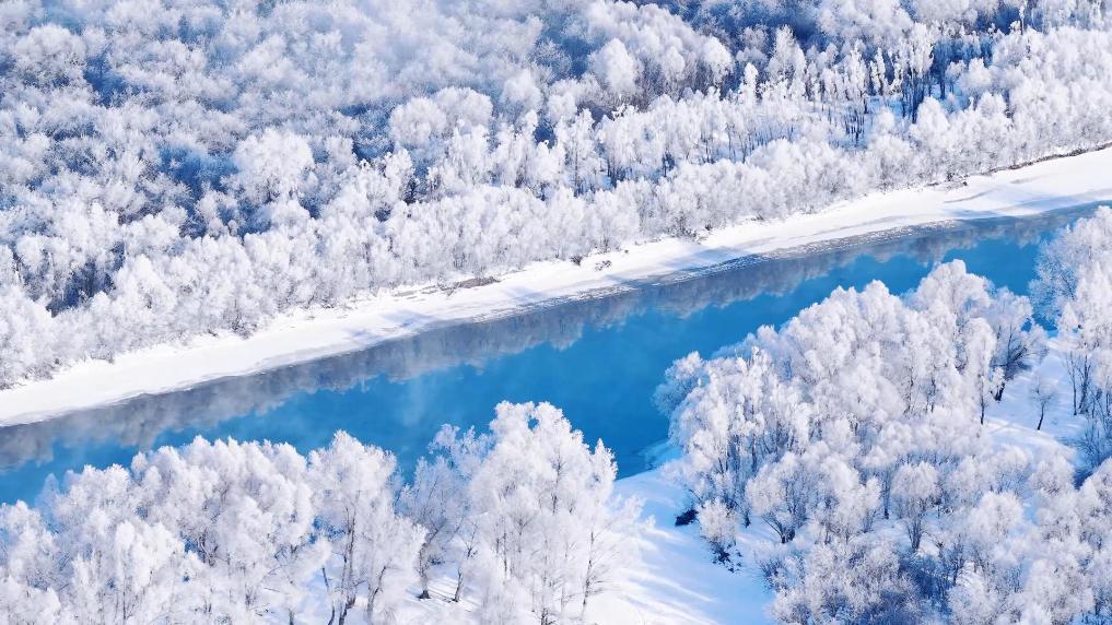 额尔古纳湿地迎雾凇景观