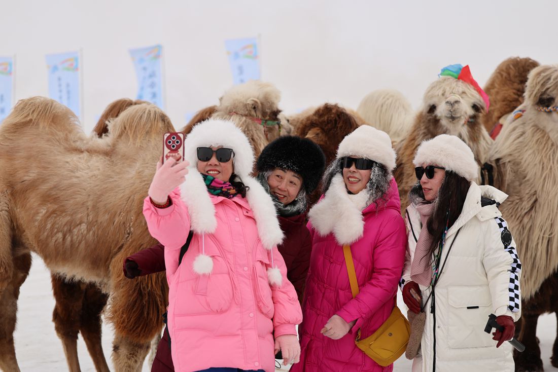 2025达里湖冬捕季展现内蒙古冰雪魅力