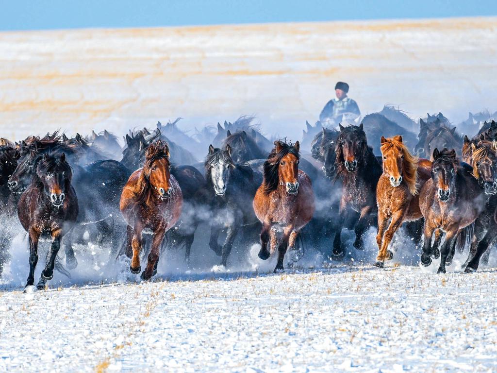 骏马乘风闯新路