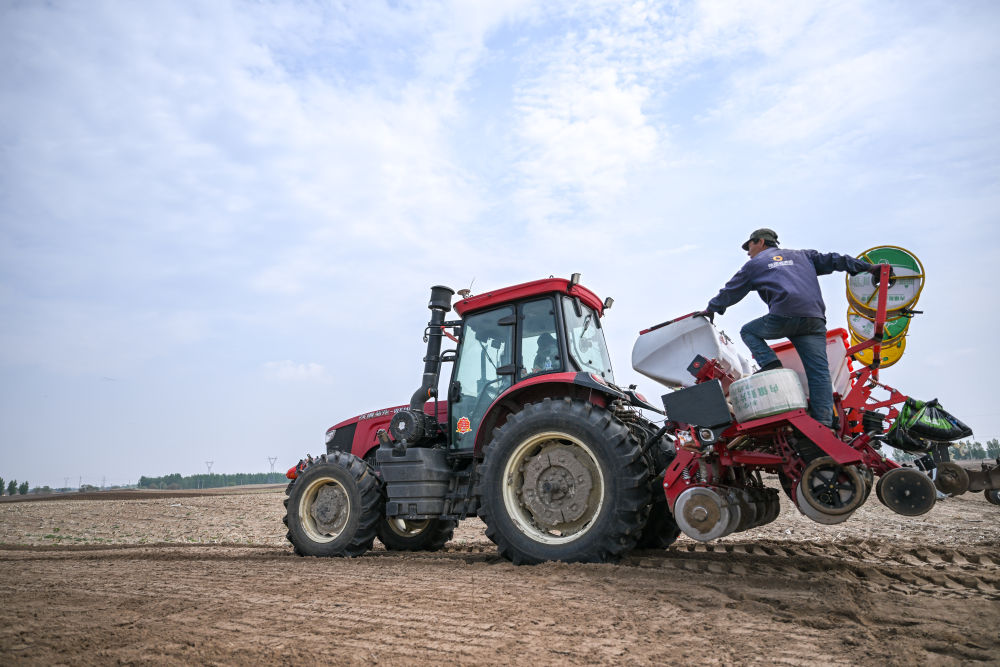 粮食多了，用水少了 稳粮实践南北观察