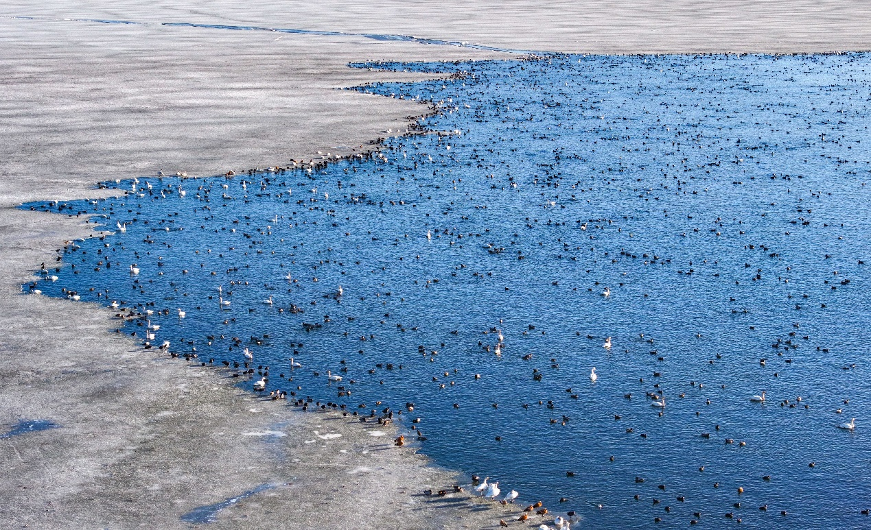 湿地生态 如画美景