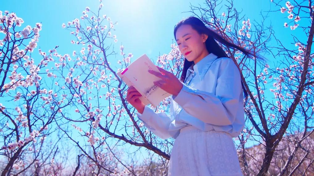 杏花一开 林西便有了温柔模样