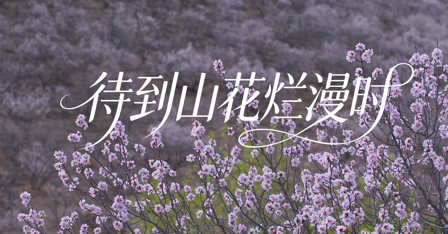 待到山花烂漫时