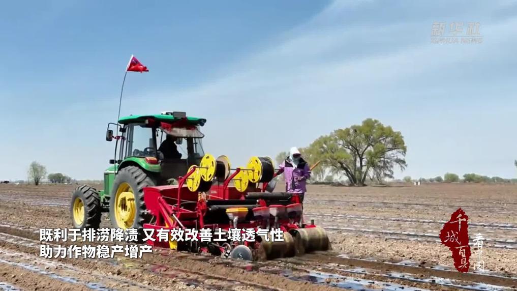 垄上破题解旱涝
