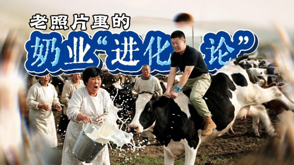老照片里的奶业“进化论”