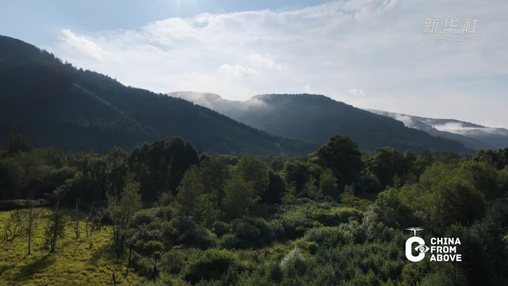阿尔山万顷林海营造天然清凉