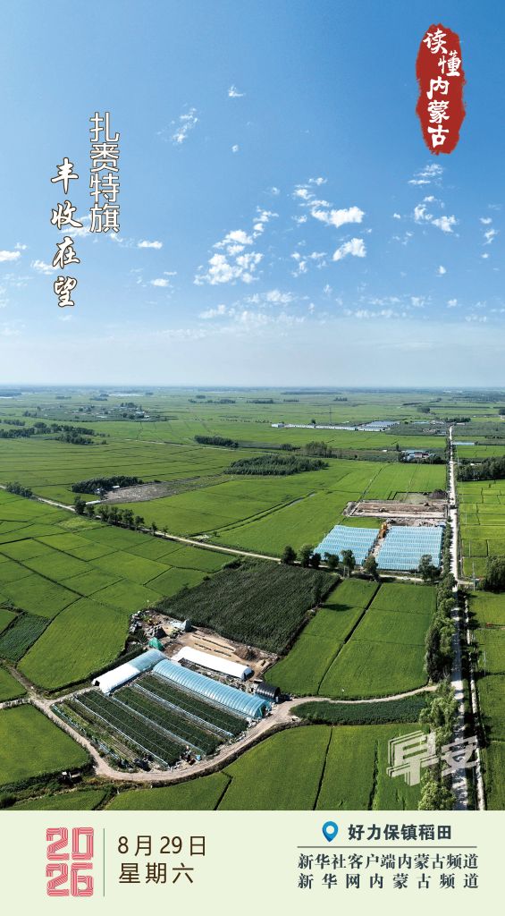 读懂内蒙古丨2026年8月29日 丰收在望 扎赉特