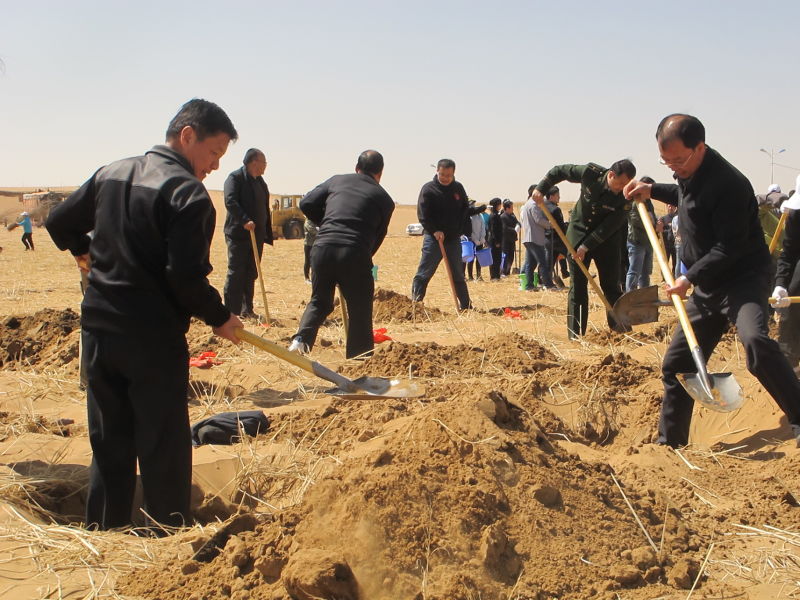 阿拉善盟初春时节植树忙 -- 阿拉善