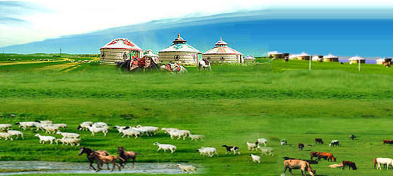 新华网内蒙古频道:达茂旗