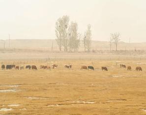 新华社内蒙古分社记者风采
