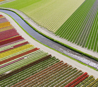 内蒙古首家行贿犯罪档案查询平台正式开通