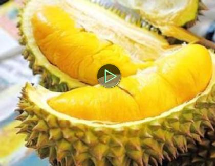 包头新闻9月9日 - 新华网内蒙古频道视频专栏