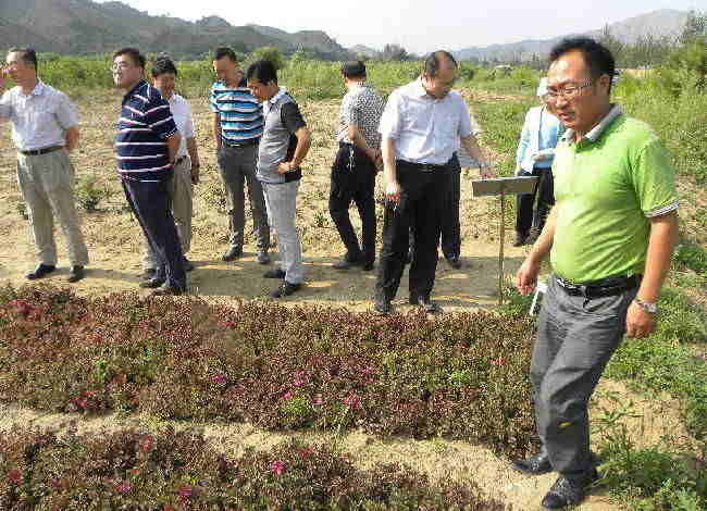 中科院植物研究
