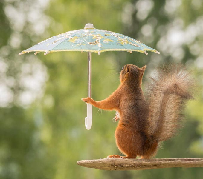 机器崛起在亚马逊帝国:不是蓝领机器人,就是白