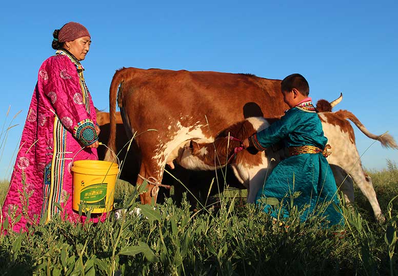 蒙文网站测试页面
