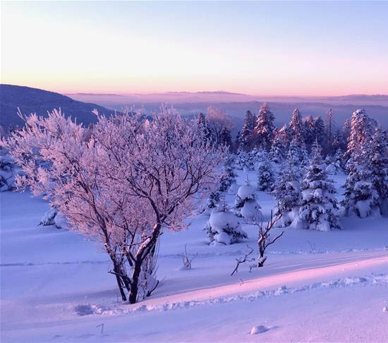 潘玮柏高云翔自曝初恋年纪 黄子韬秀拳脚