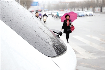 细雨润青城