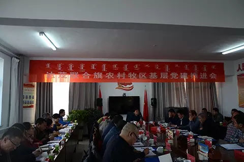 达茂旗召开农村牧区基层党建工作推进会