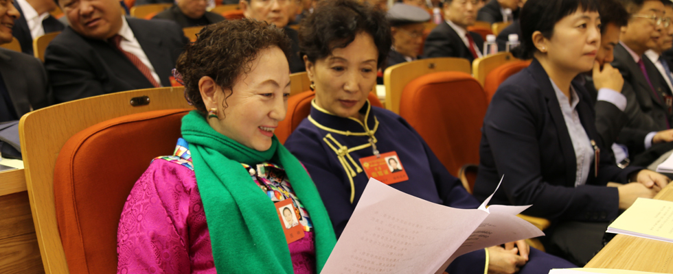 政协委员在内蒙古自治区政协十一届五次会议上阅读选举填写选票说明