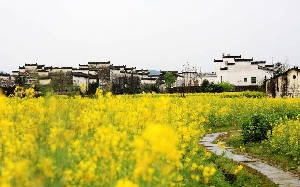 “婺”里看花