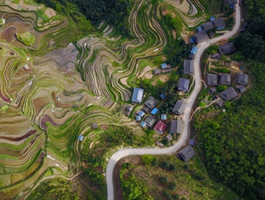 内蒙古:专业技术职称评定为基层人员减负