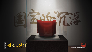 国家相册：国宝的沉浮