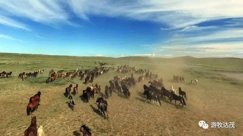 第五届中国游牧文化旅游节开幕式阵容新鲜出炉