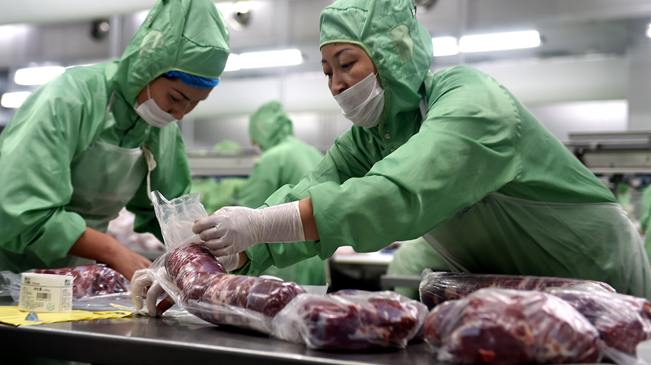 內蒙古優質牛羊肉走上越來越多國人的餐桌