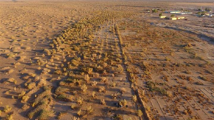 内蒙古荒漠化和沙化土地减少面积居全国首位