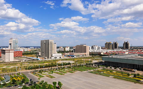发展记