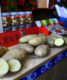 马铃薯展洽会成为乌兰察布市的“金招牌”
